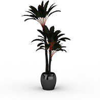 3D室内植物模型