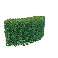 绿化植物3D模型