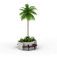 公园椰子树3D模型