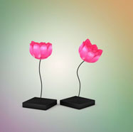 3D粉色蓮花臺燈模型