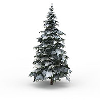 落雪松树3D模型